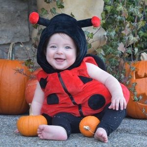 Lady bug costume 18m